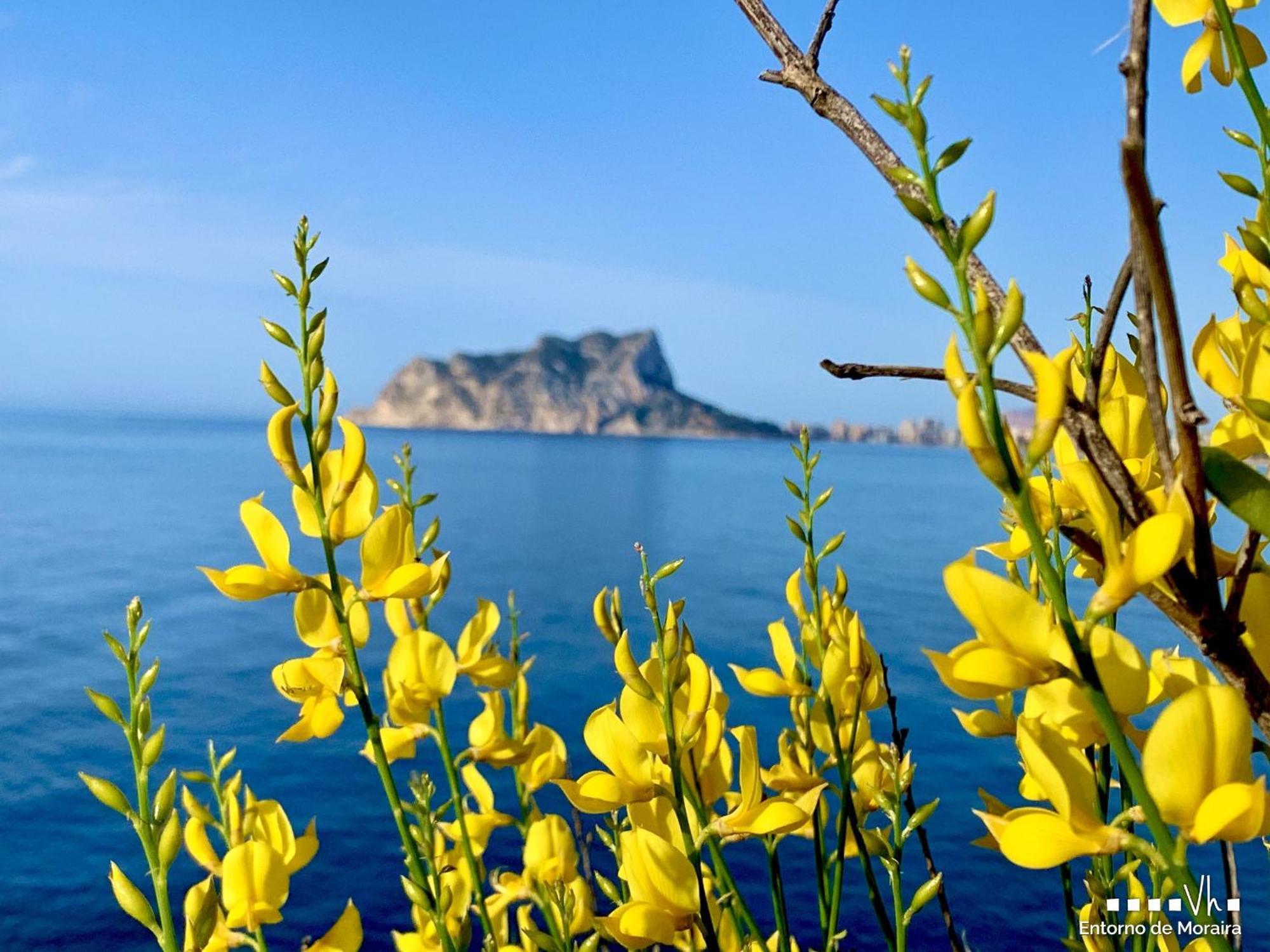 Вилла Vh Costablanca - Eva Кальпе Экстерьер фото